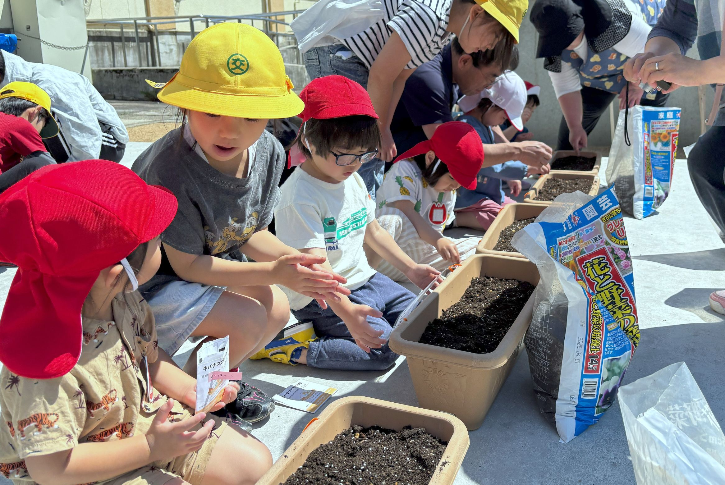 「オレンジガーデニングプロジェクトin飛騨市」始まる～宮川町の児童と園児たちが「種まき会」～