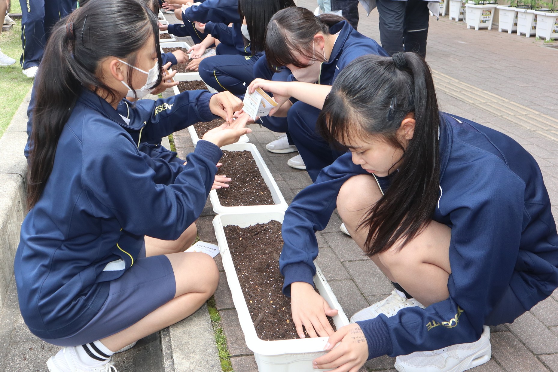 認知症になっても暮らしやすい町を…オレンジ色の花咲かせませんか