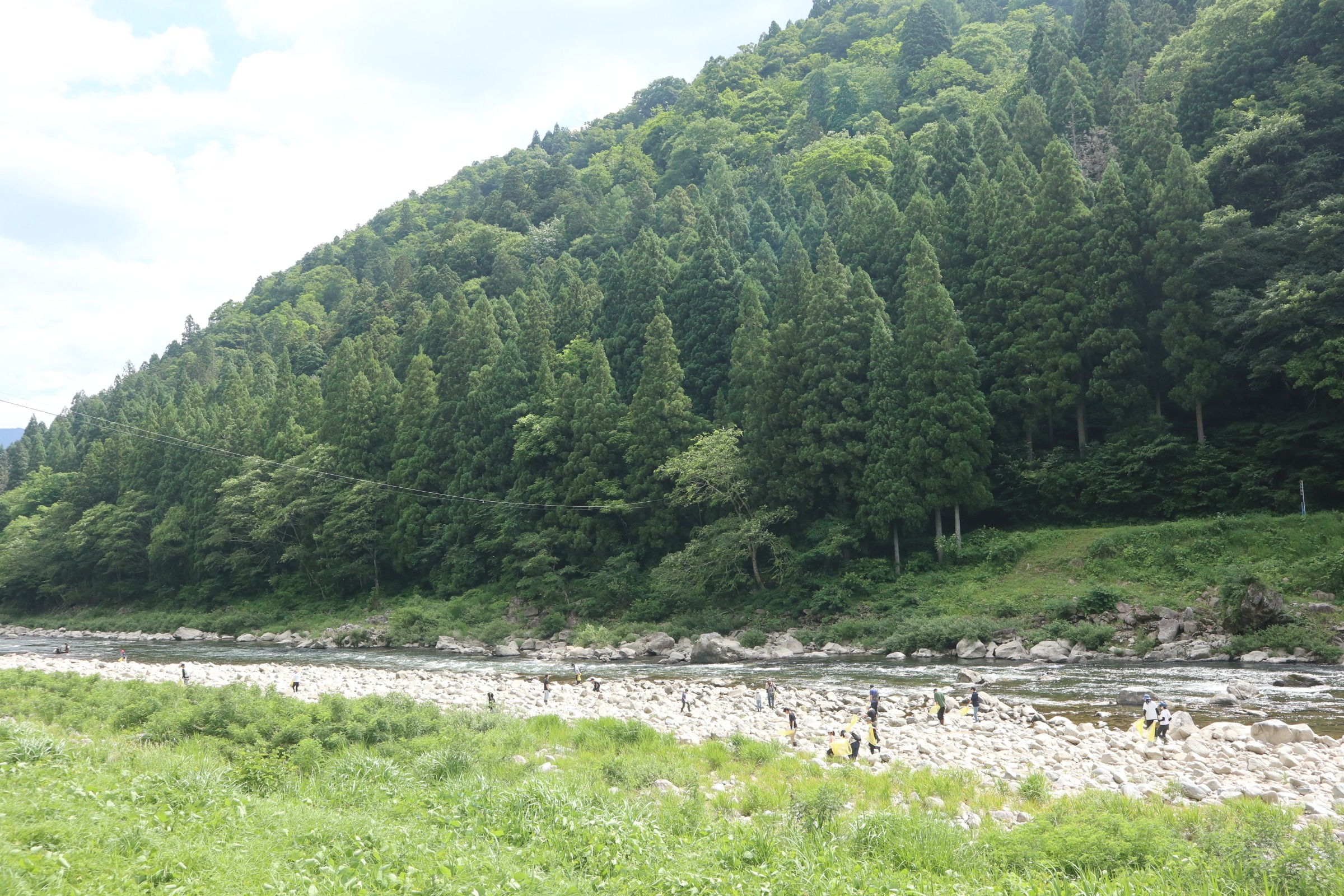 宮川下流域のプラごみ回収 現地の様子