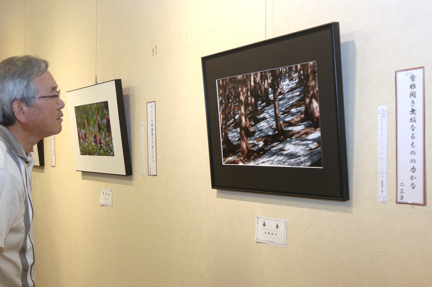 フォトあさぎりと市内俳句会の皆さんによる合同作品展が開催されました