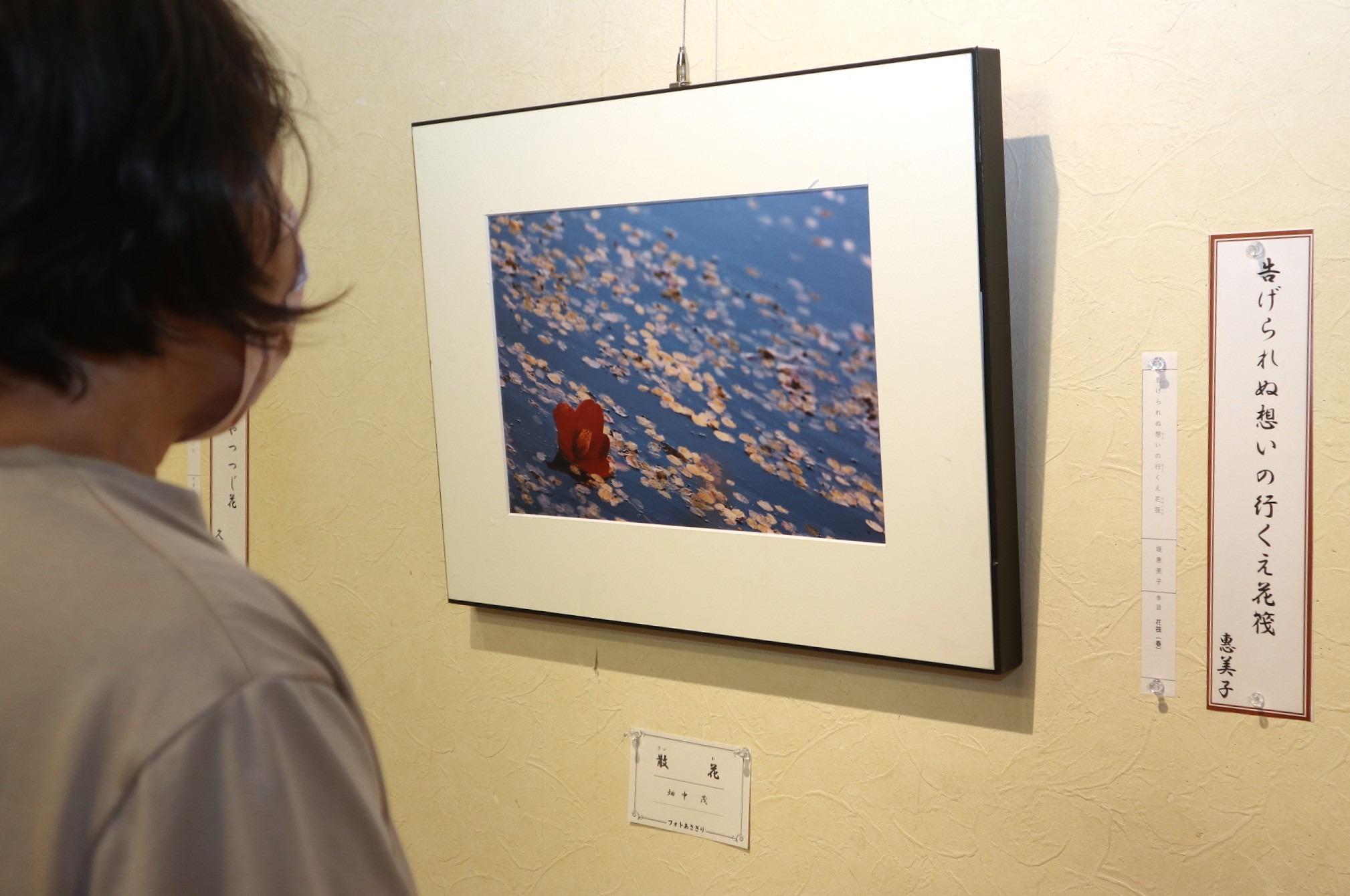 フォトあさぎりと市内俳句会の皆さんによる合同作品展が開催されました