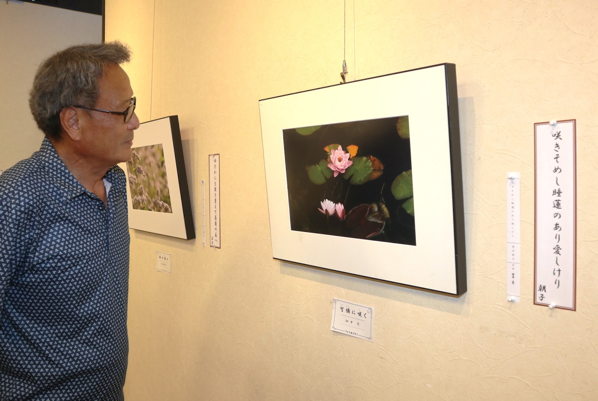 フォトあさぎりと市内俳句会の皆さんによる合同作品展が開催されました
