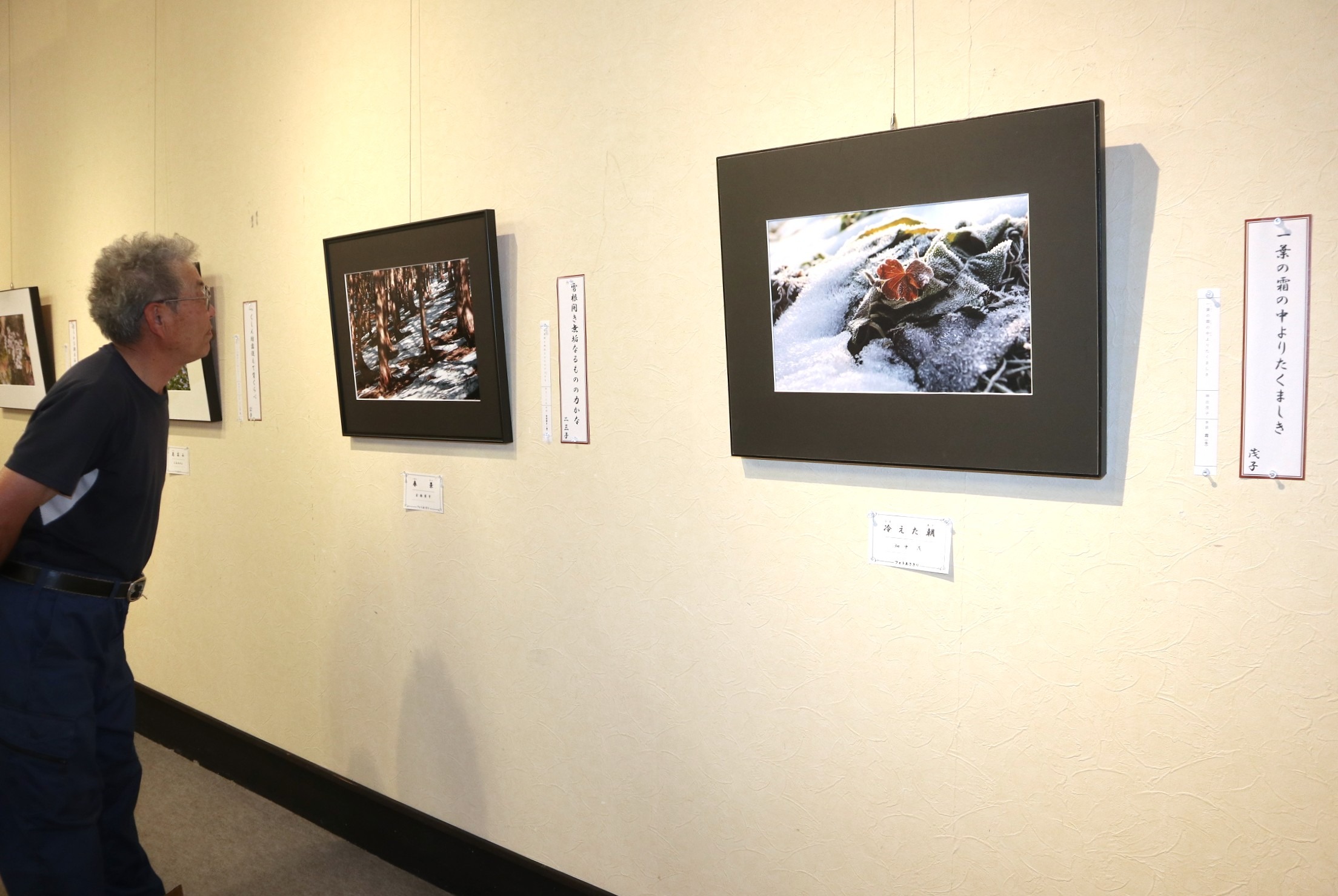 フォトあさぎりと市内俳句会の皆さんによる合同作品展が開催されました