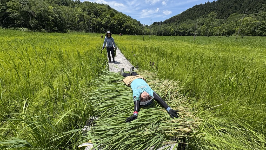 池ケ原湿原でボランティアによるヨシ刈り