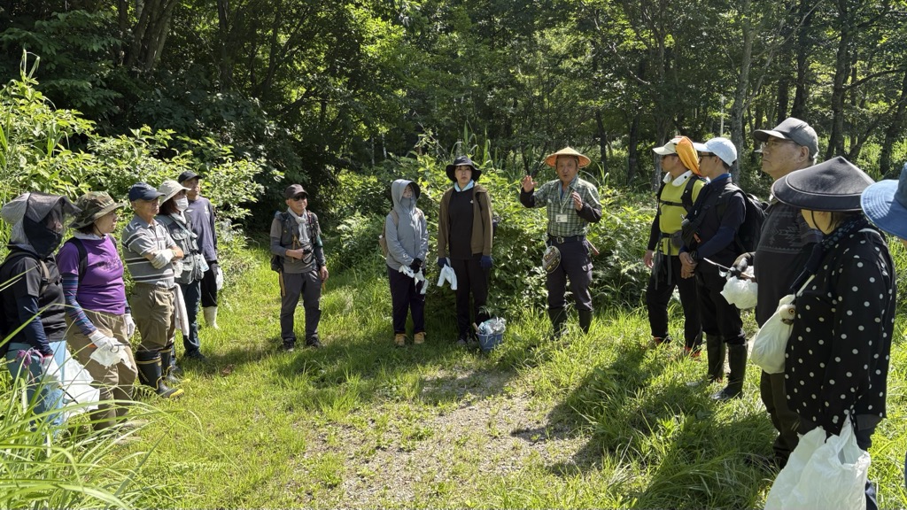 池ケ原湿原でボランティアによるヨシ刈り
