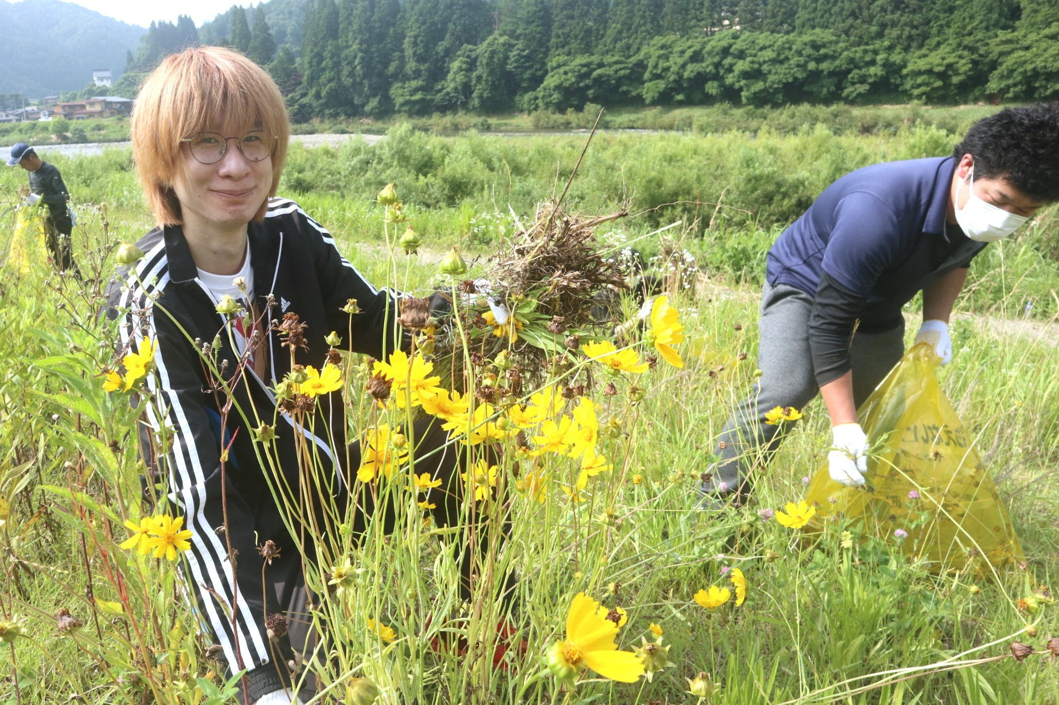 ニプロファーマ飛騨工場の社員が今年も外来生物駆除に汗を流しました