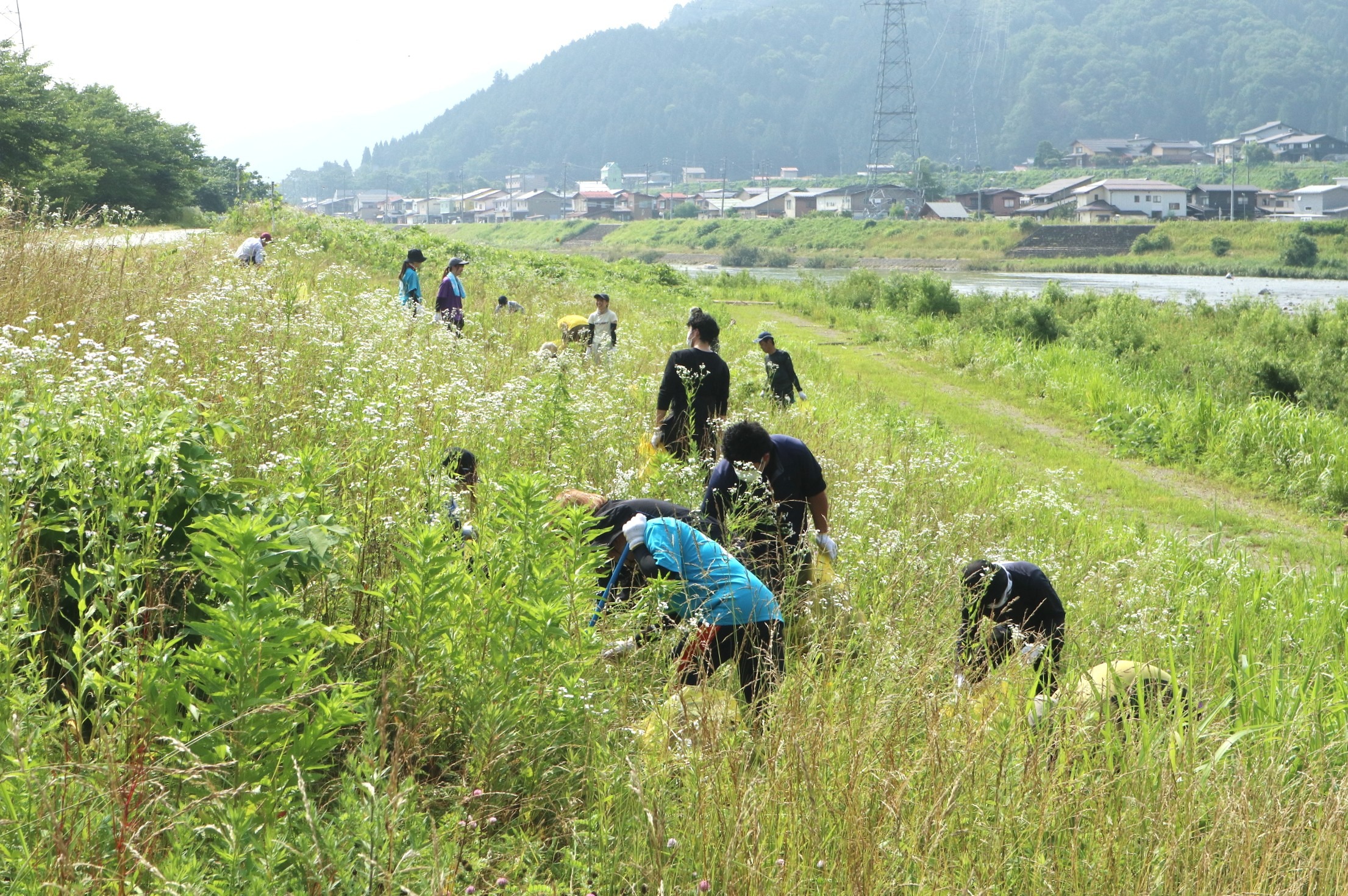 ニプロファーマ飛騨工場の社員が今年も外来生物駆除に汗を流しました