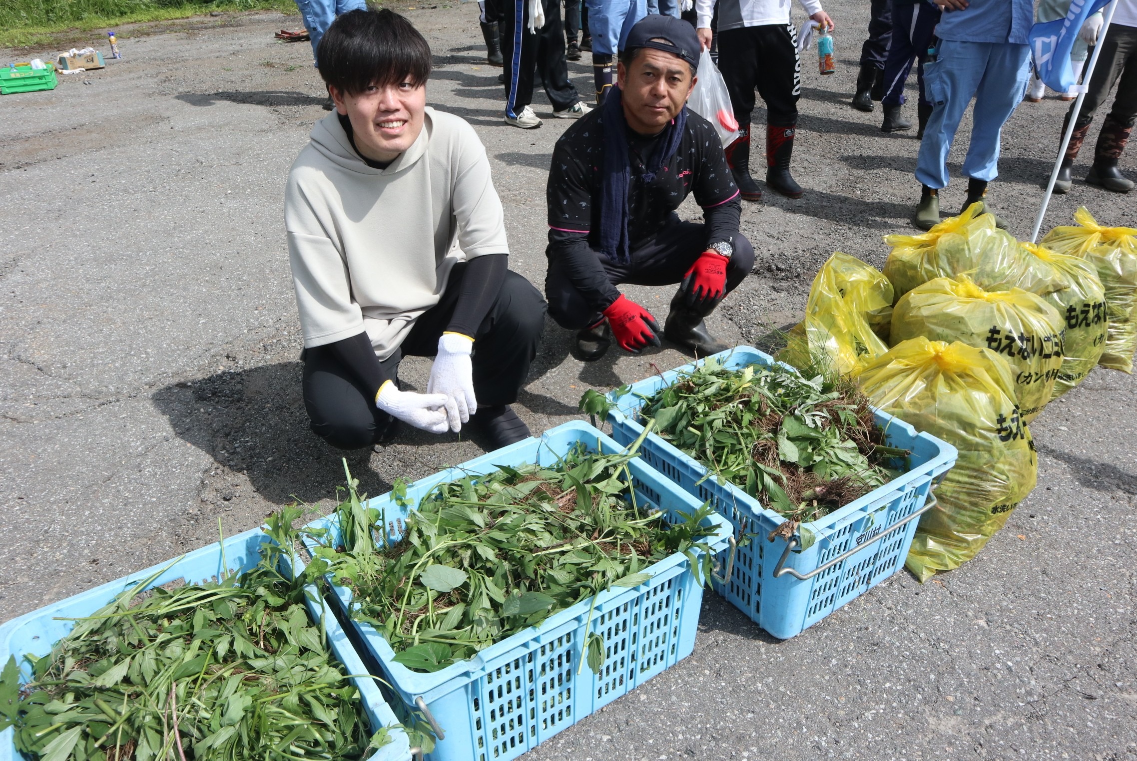 連合岐阜飛騨地協がオオハンゴンソウの防除作業を実施しました
