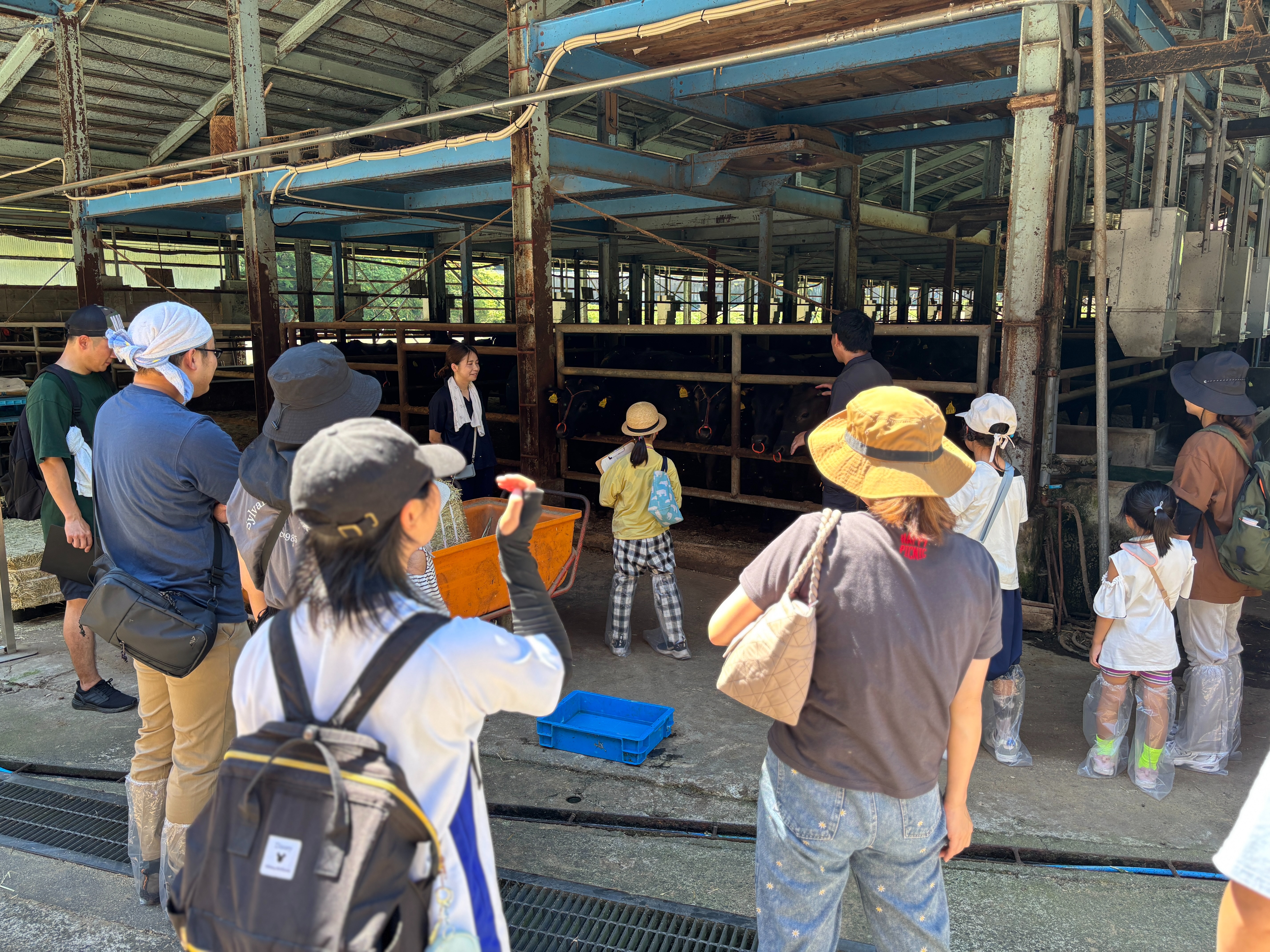 宮川小児童「わくわく探検隊」が宮川町内めぐりを開催