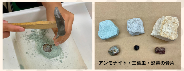 掘り出し体験