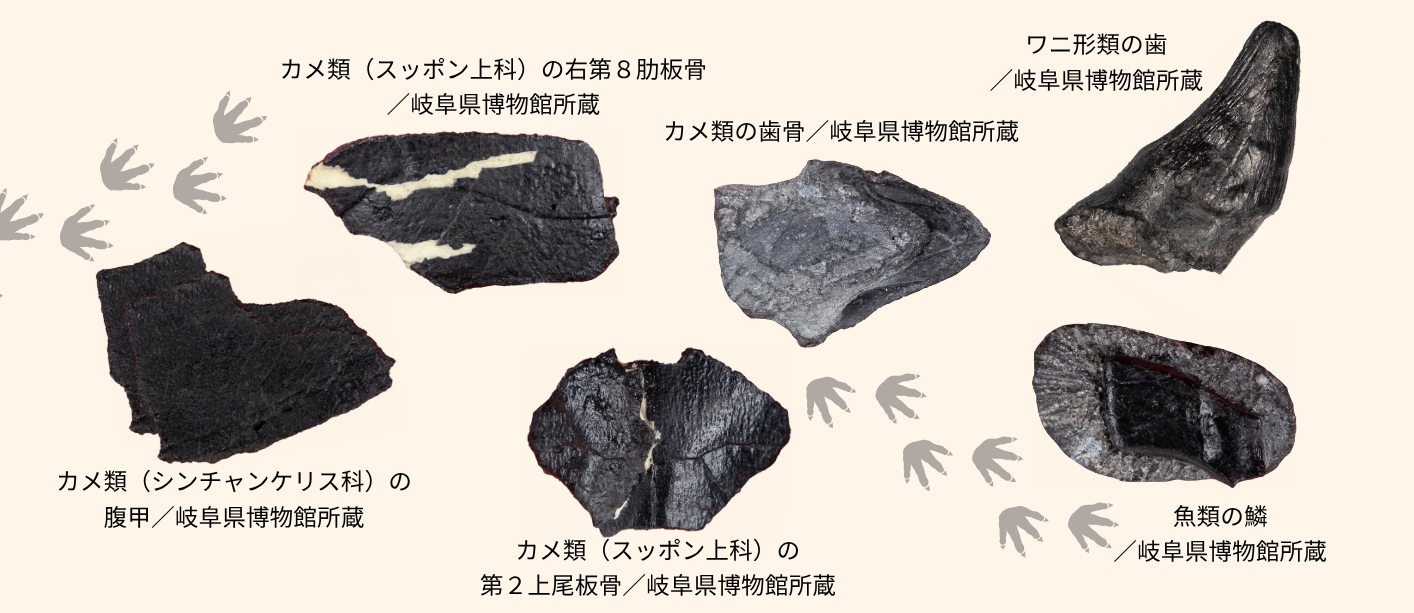 化石