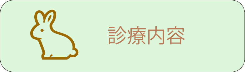 診療内容