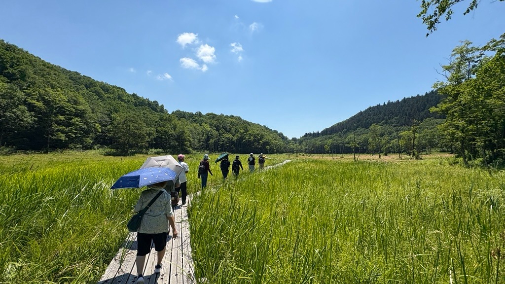 ツアー客が池ケ原湿原のヨシ刈り作業を体験