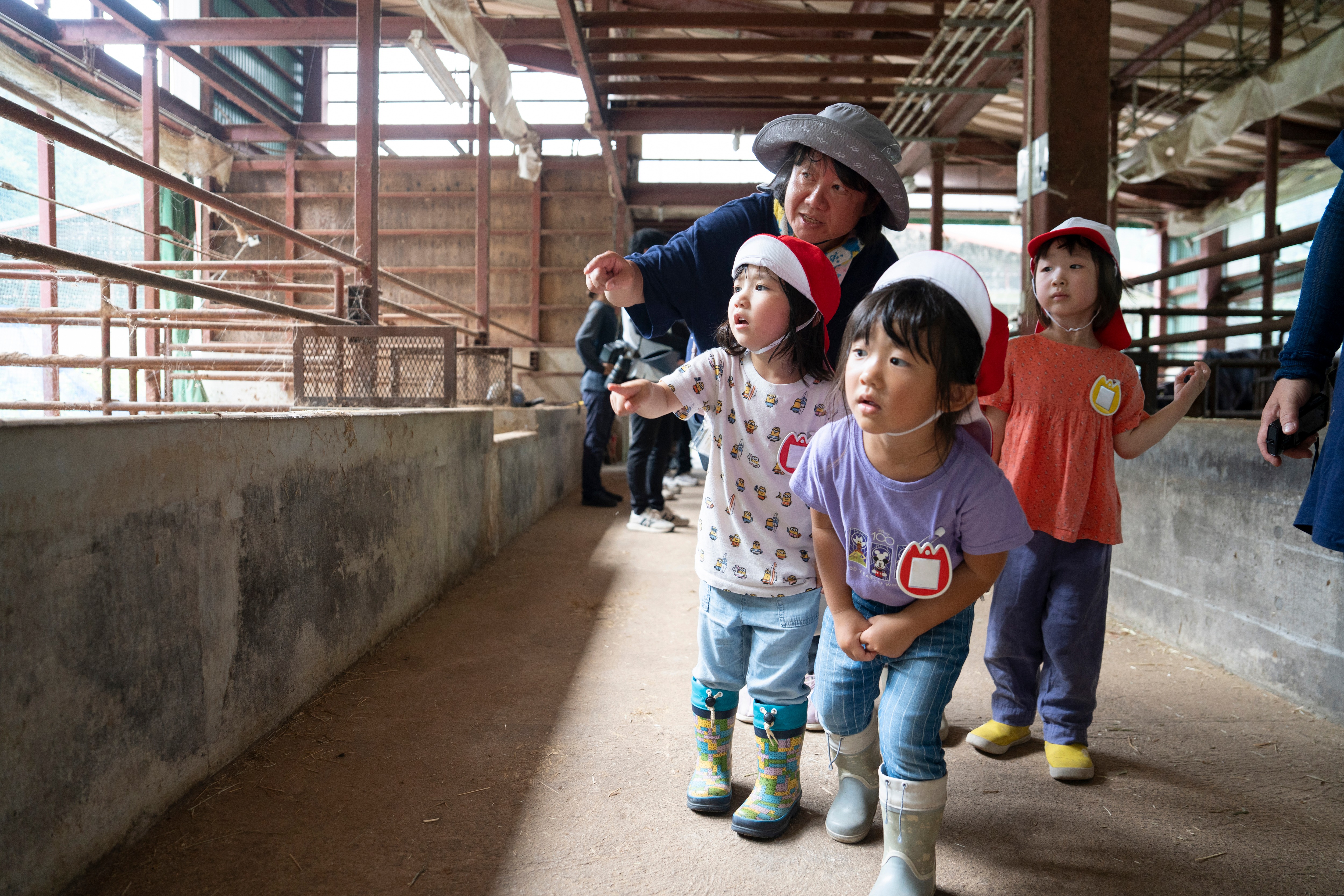 宮川保育園の園児が長九郎トマト農園を見学