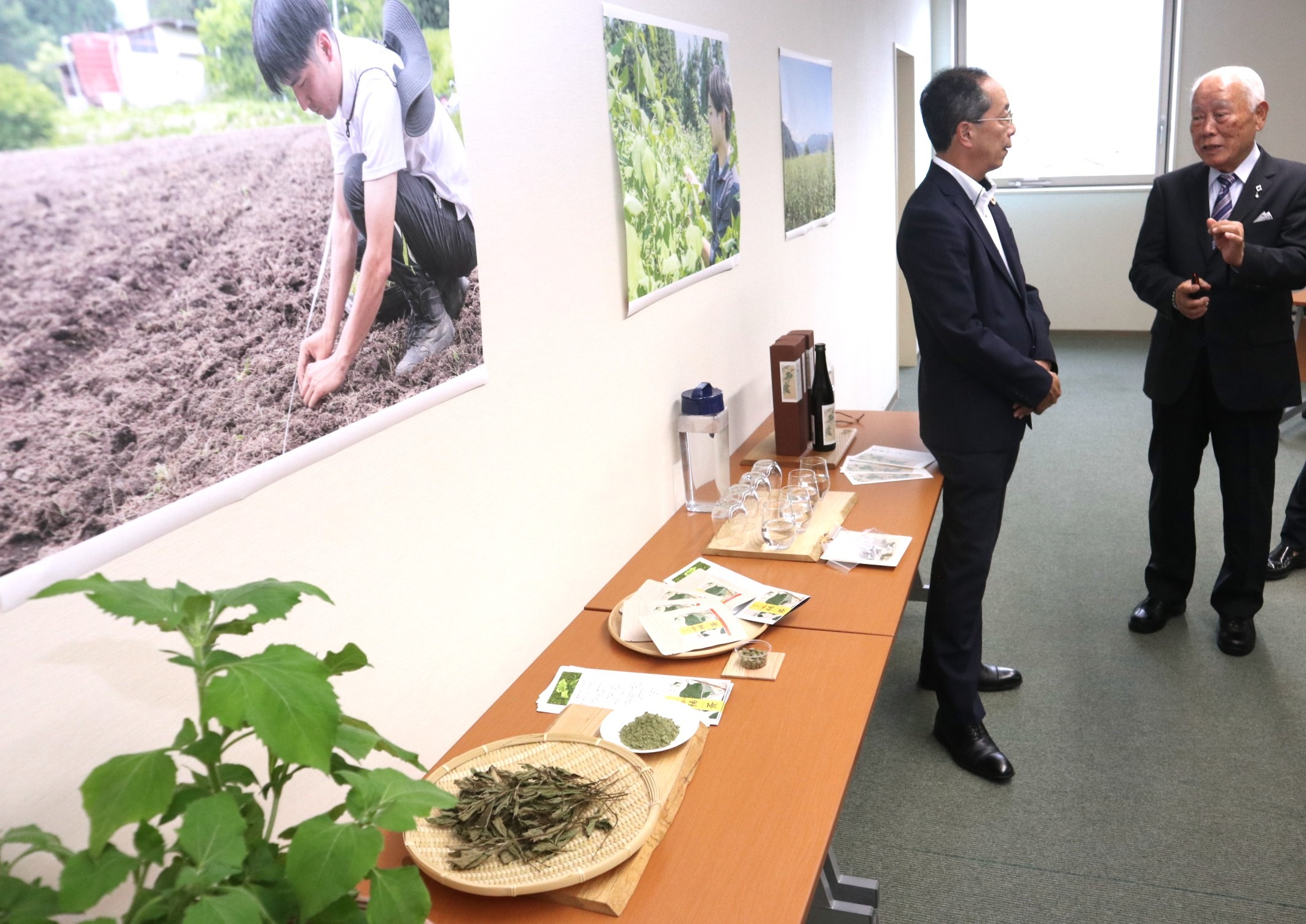 薬草メナモミを100%原料にしたタブレット食品「稀薟」を開発