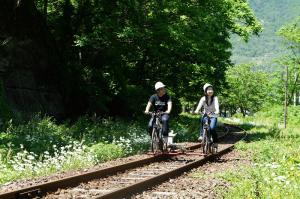 Image of people running on a mountain bike on a rail in fresh green