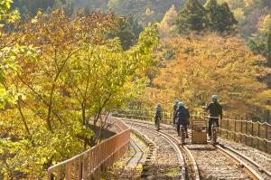 Image of people running on a mountain bike in the forest