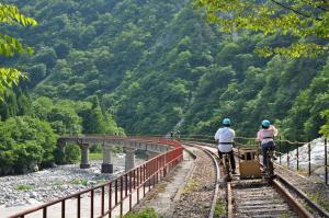 渓谷コースの森の中をマウンテンバイクで走る人たちの画像