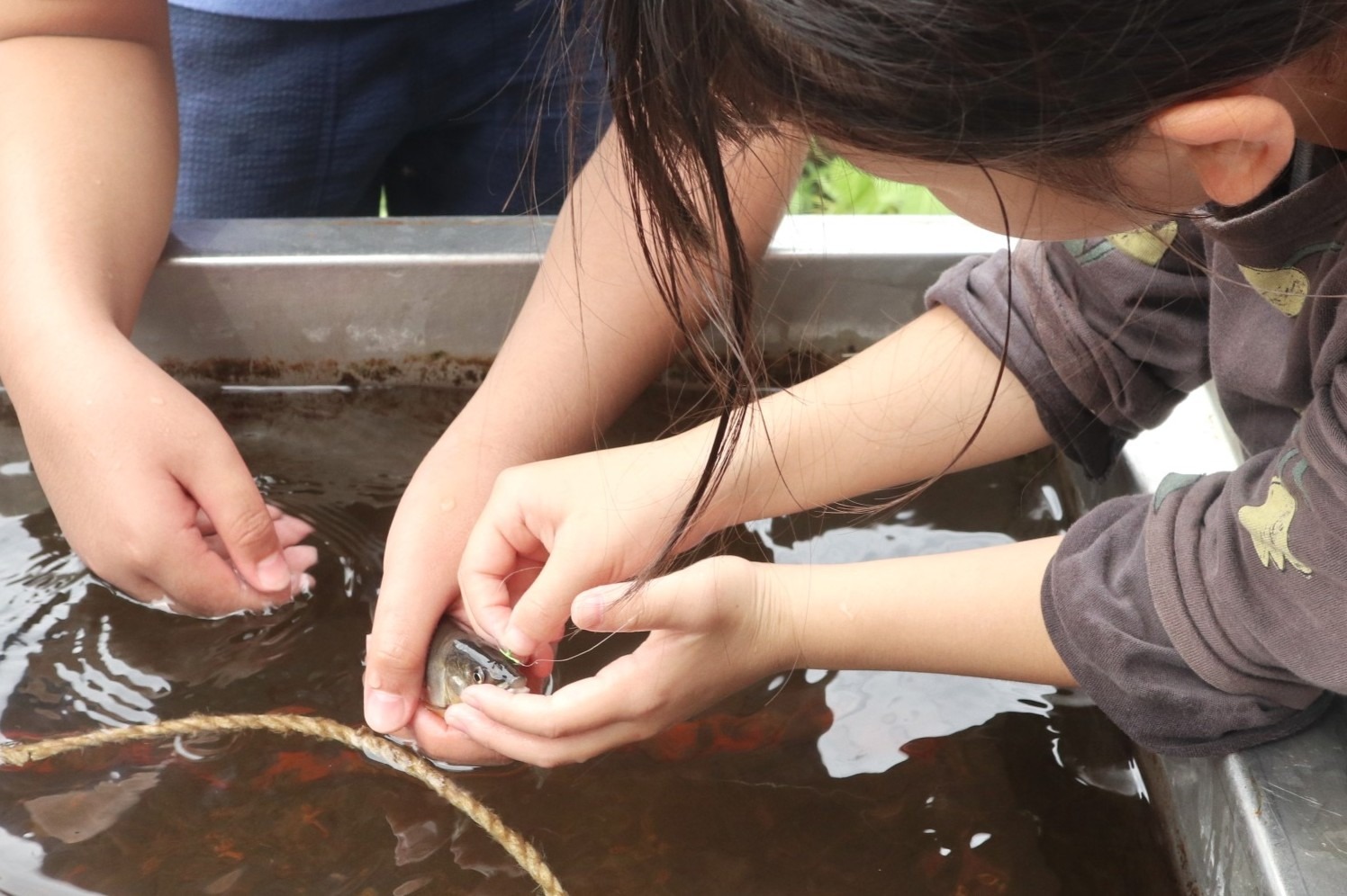 児童らが地域の特産アユの友釣りについて学びました