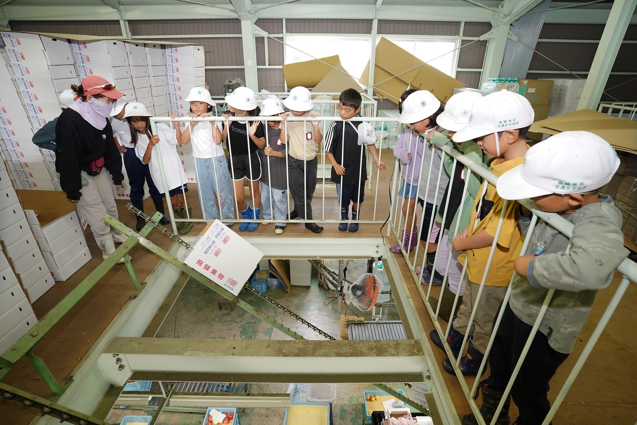 古川西小学校の3年生児童がリンゴの収穫体験