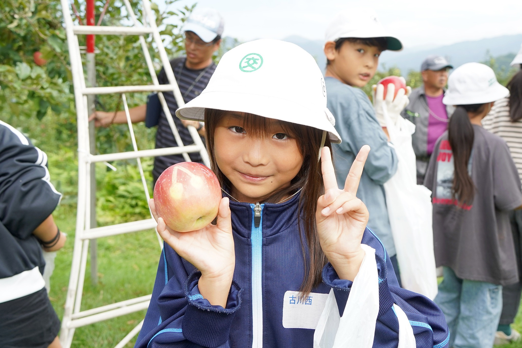 古川西小学校の3年生児童がリンゴの収穫体験