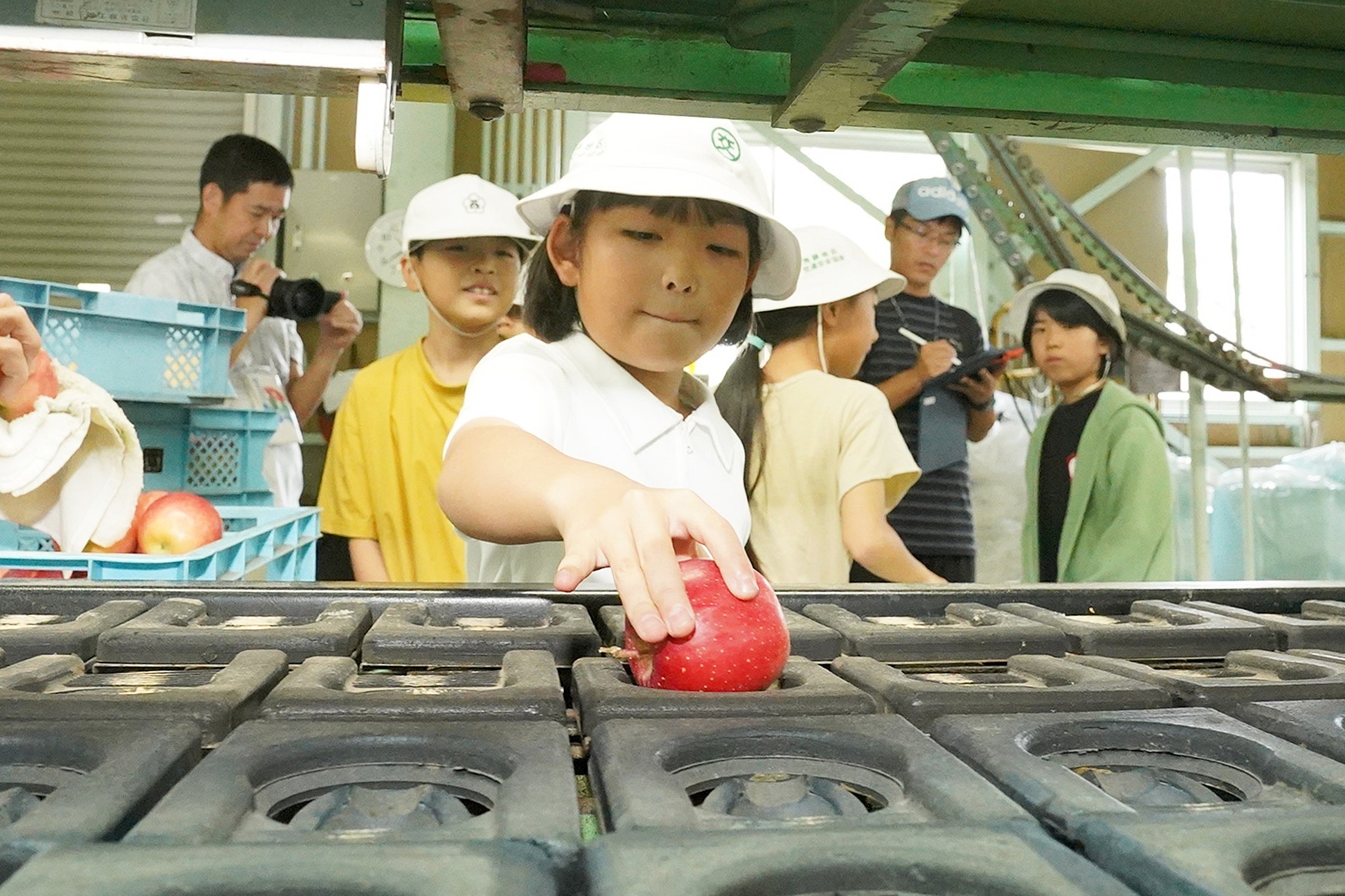 古川西小学校の3年生児童がリンゴの収穫体験