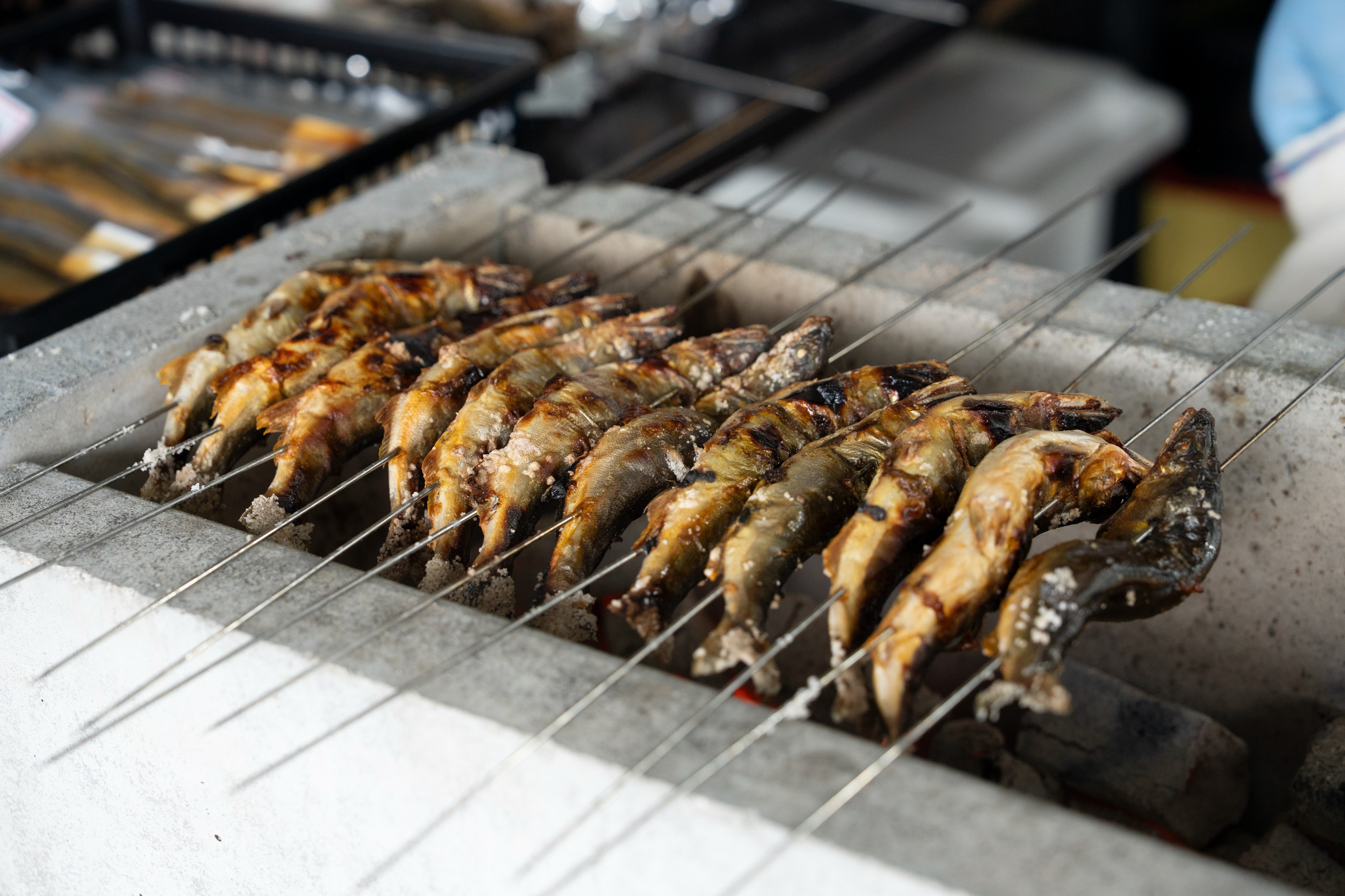 高原川の鮎、グランプリ受賞記念で販売会開催