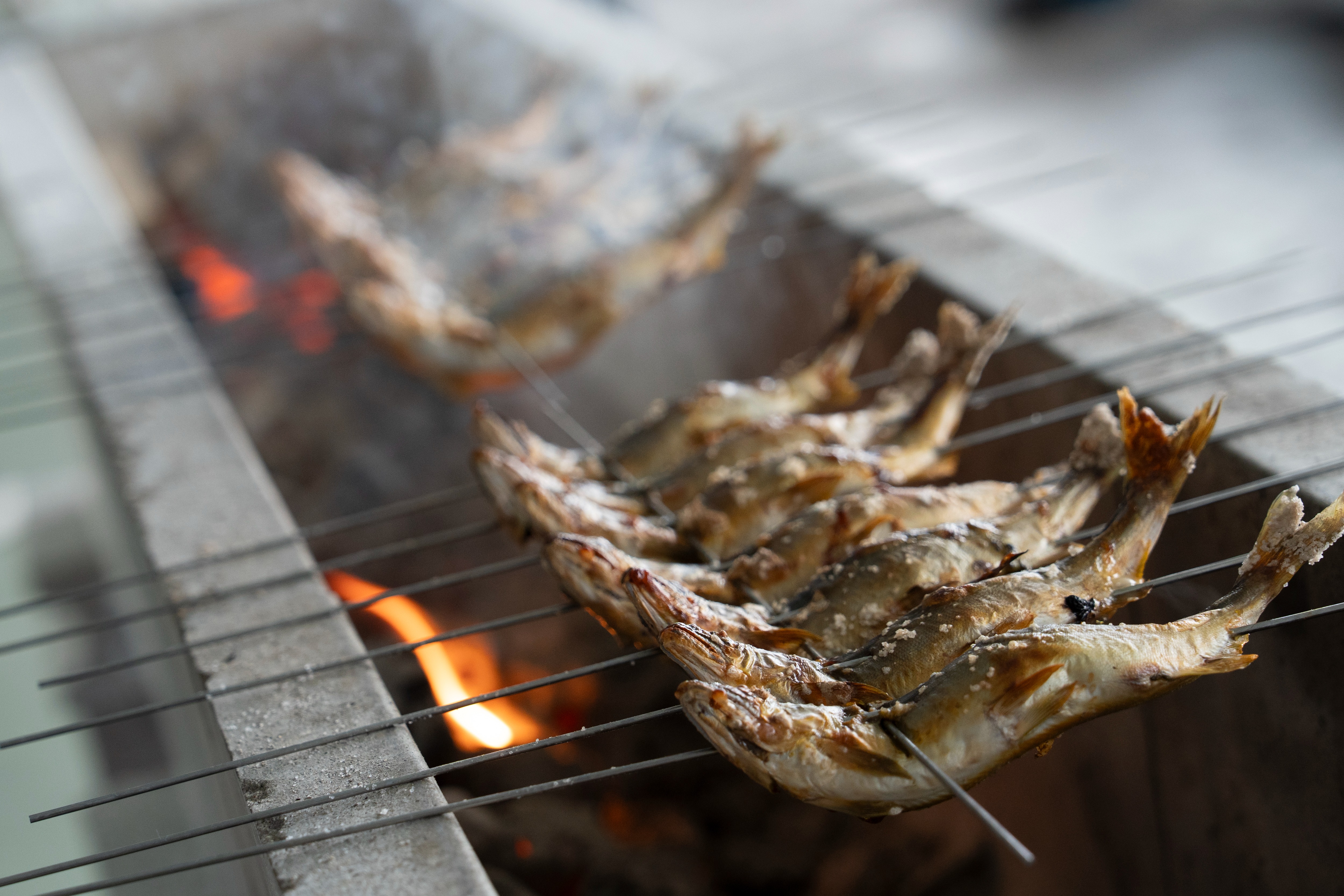 高原川の鮎、グランプリ受賞記念で販売会開催