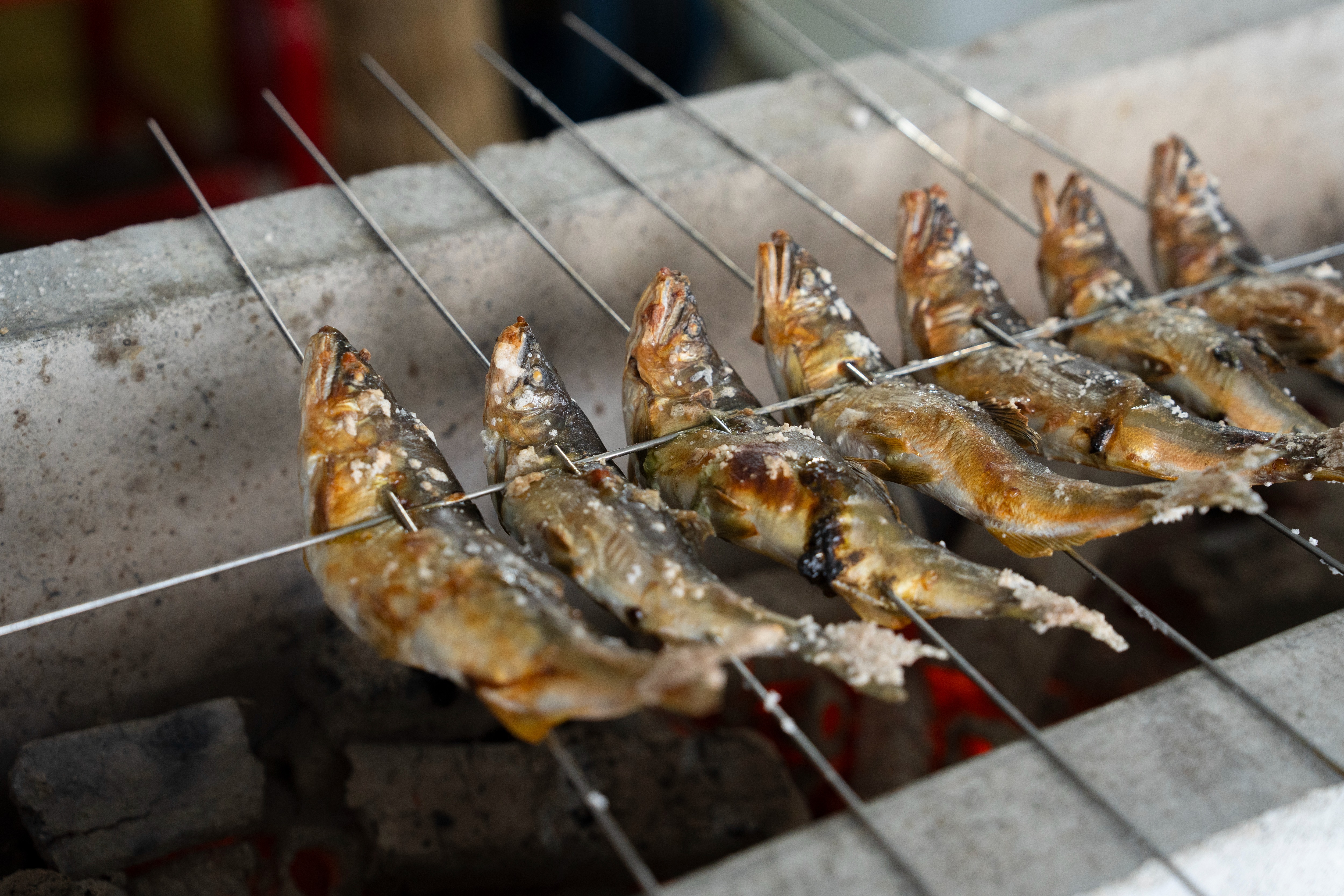 高原川の鮎、グランプリ受賞記念で販売会開催