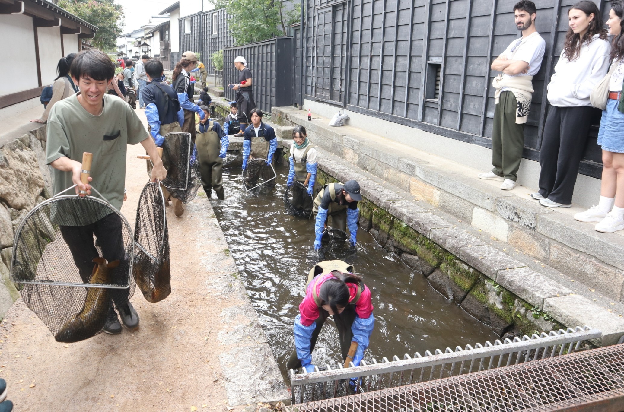 ボランティアの皆さんが鯉の引っ越し作業に汗を流しました
