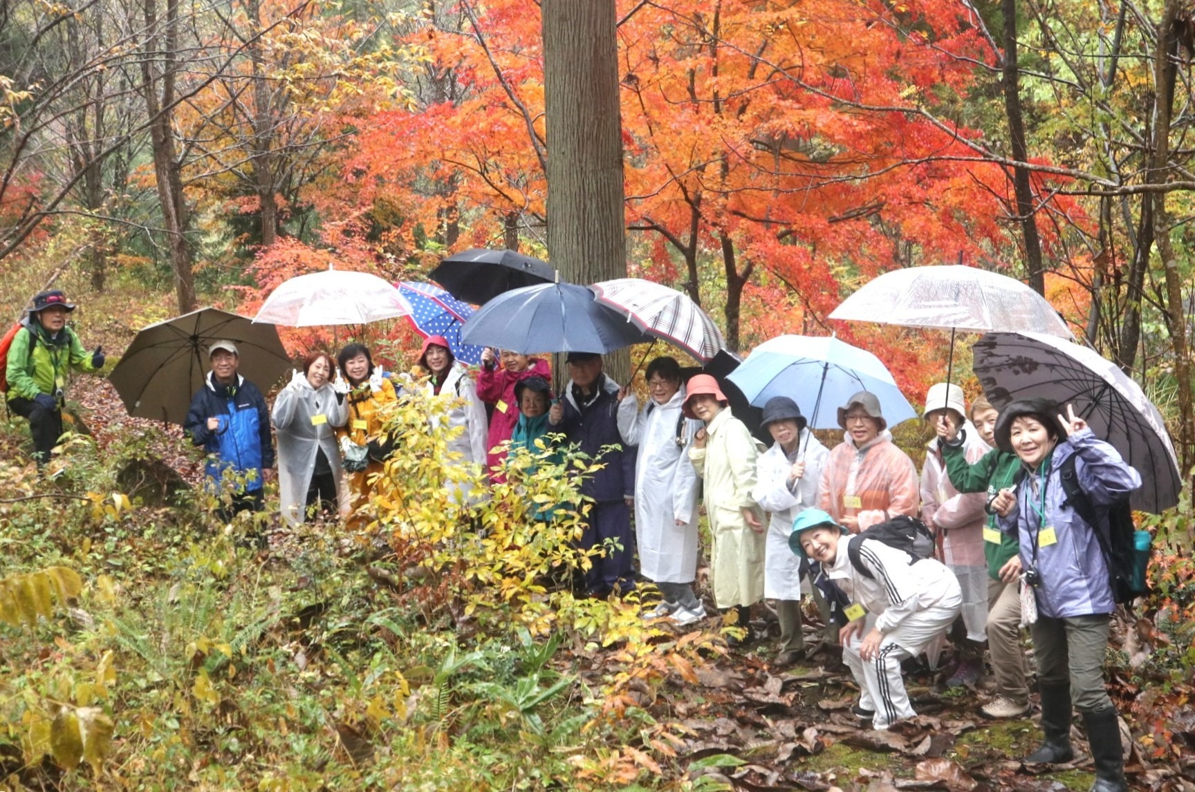 健康ウオーキング医療連携イベントを開催