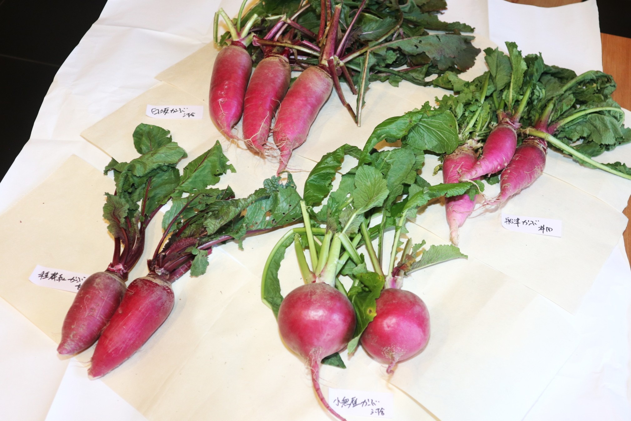 蕪（かぶ）テーマに伝承作物のお話会と試食会を開催