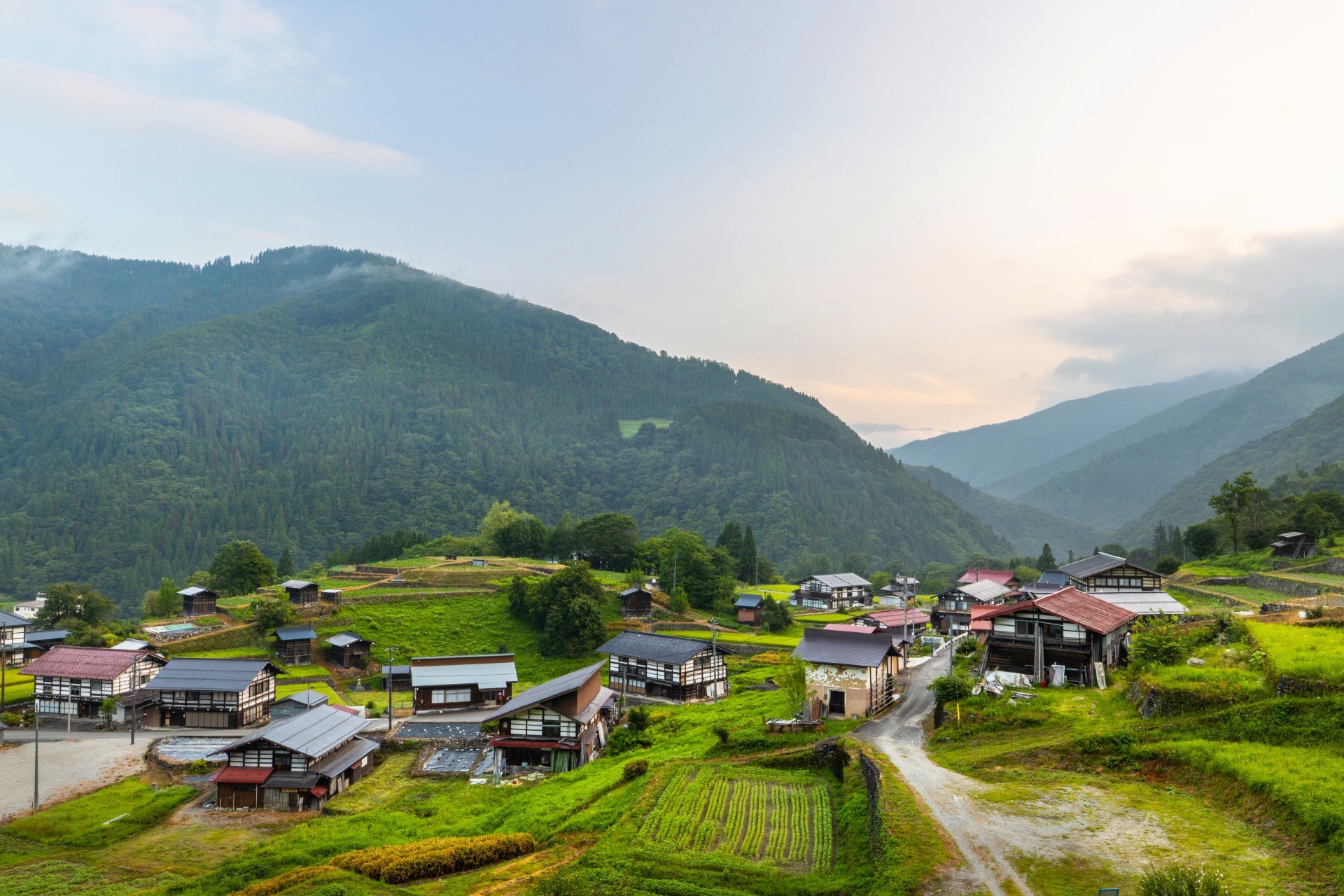 メイングラフィック画像4