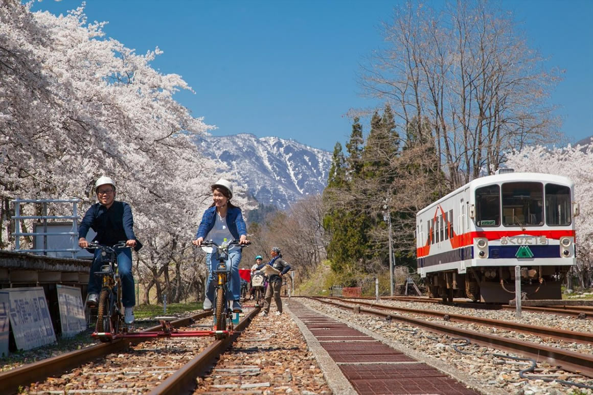 桜を見ながらマウンテンバイクを楽しむひとたちの画像