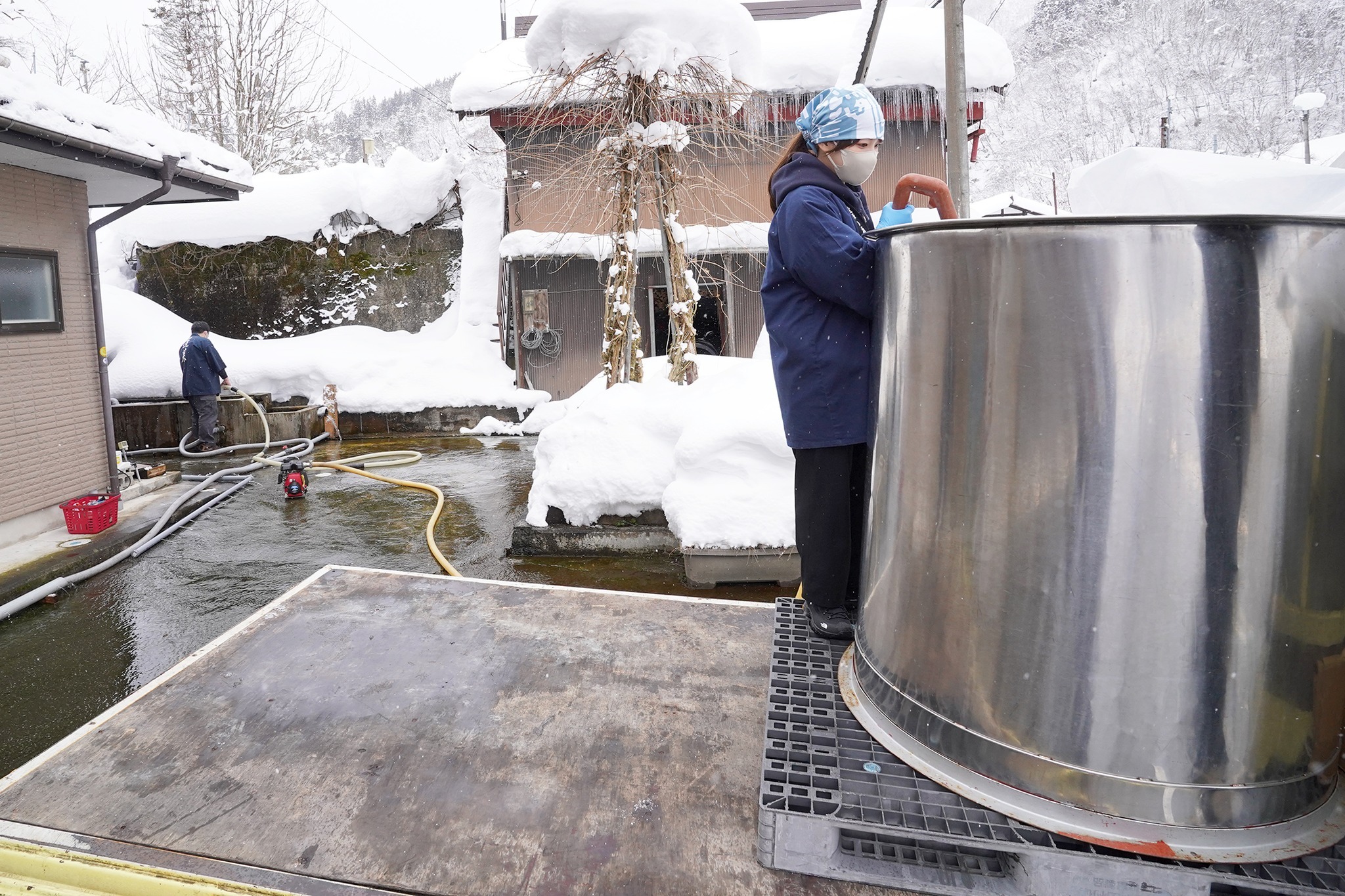 「飛騨かわい雪中酒」の水採り作業が行われました