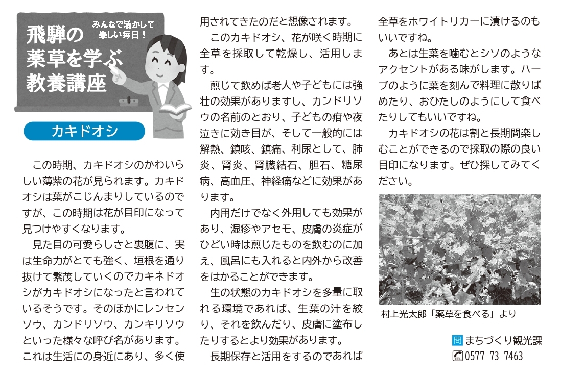 薬草を学ぶ教養講座