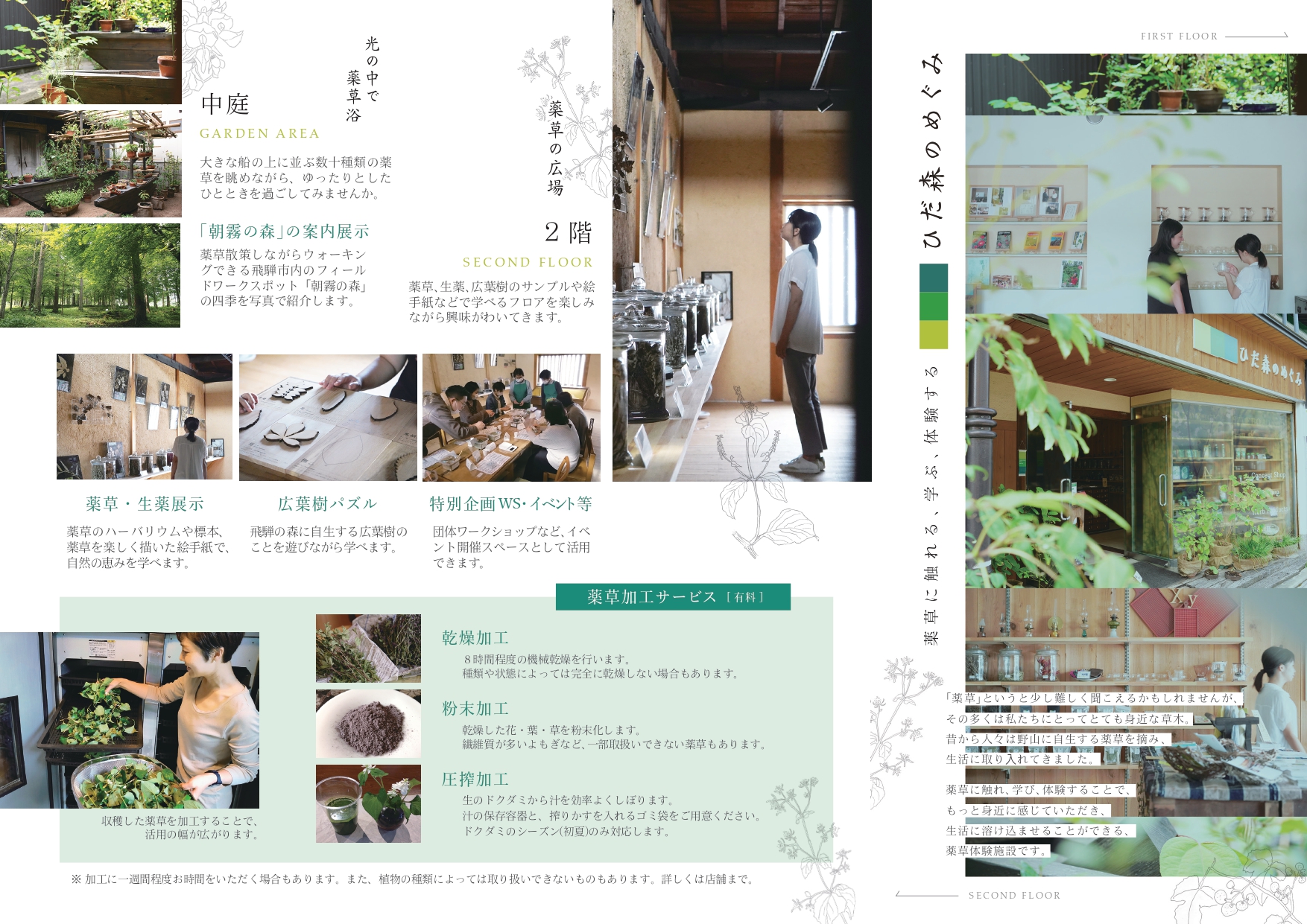 ひだ森のめぐみパンフレットイメージ