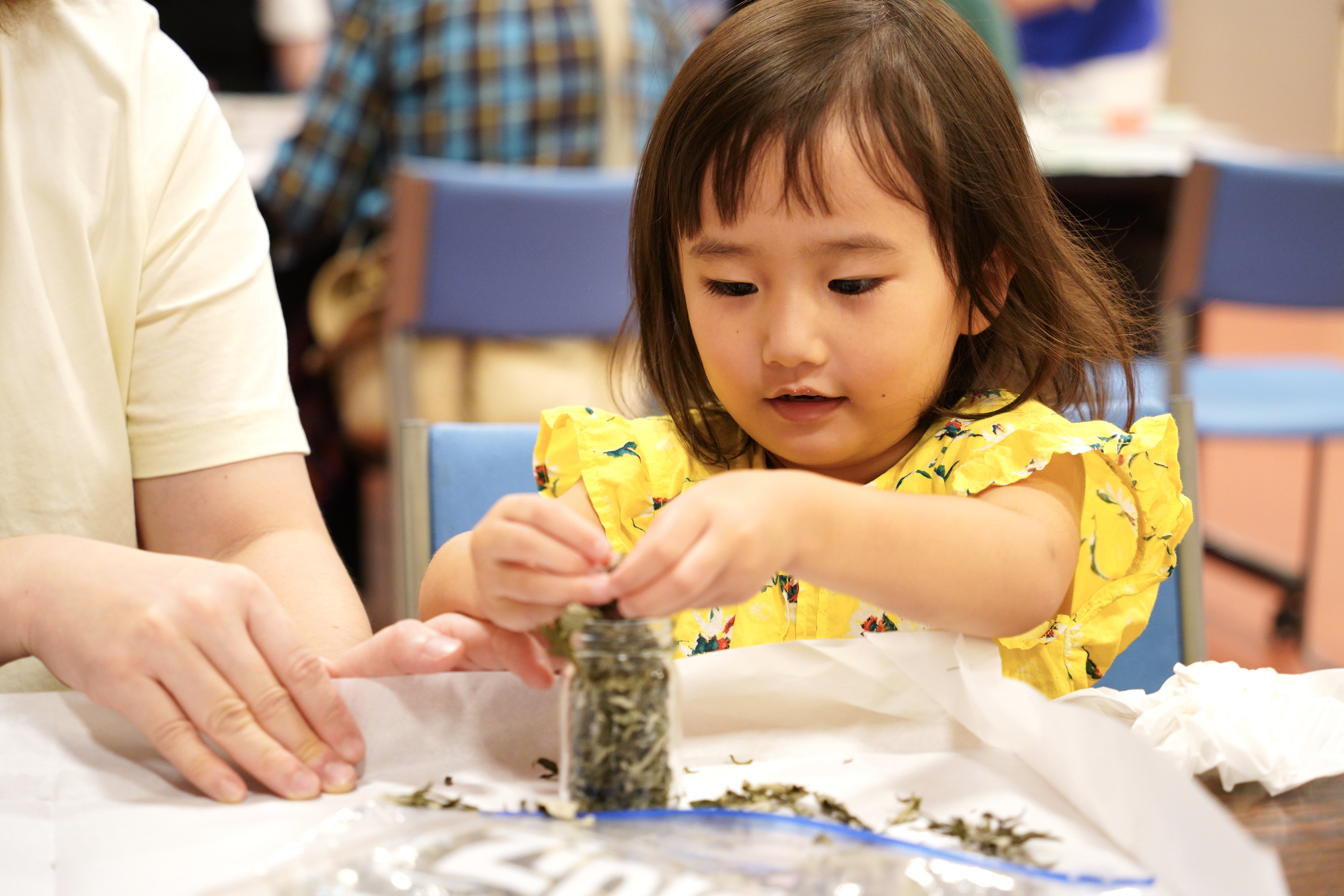 ワークショップ写真