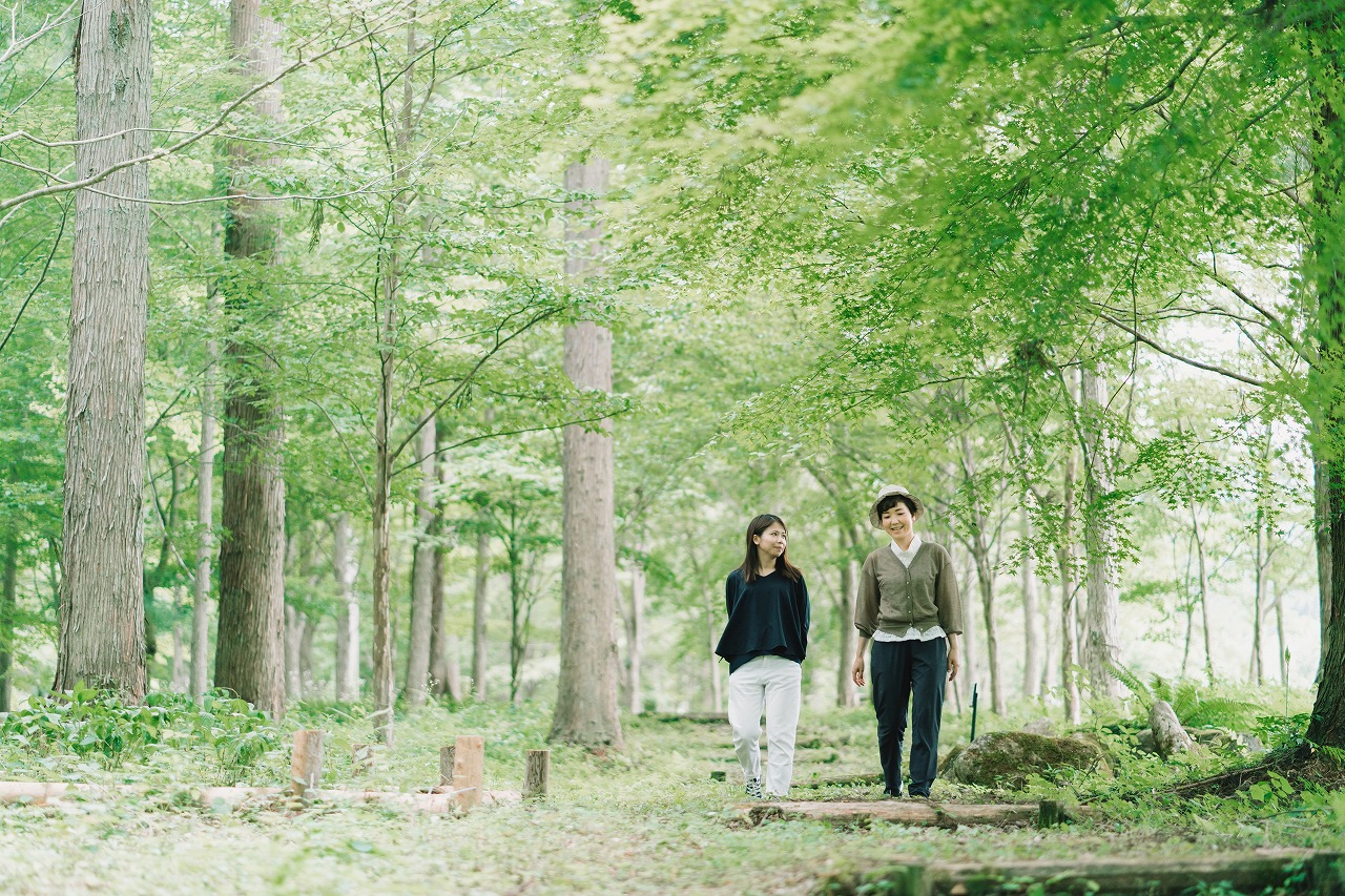 朝霧の森南ルート