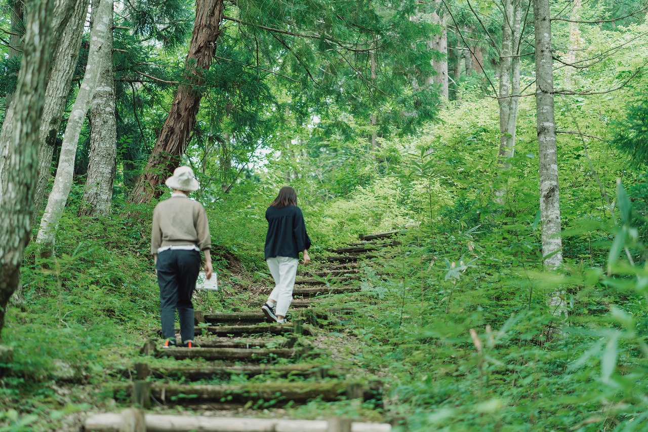 朝霧の森北ルート