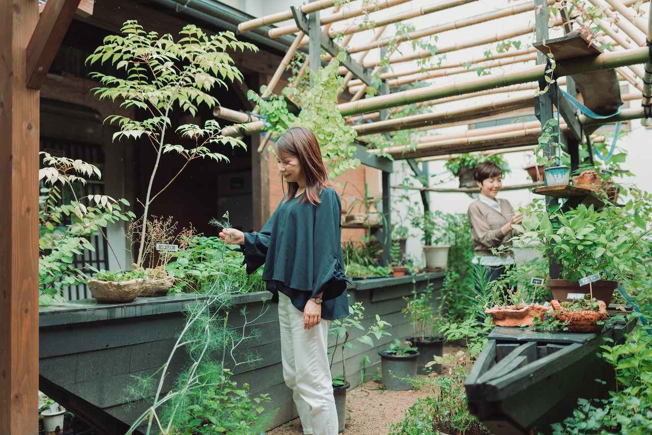 ひだ森のめぐみ中庭