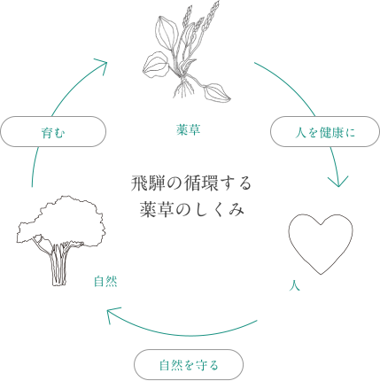 循環する薬草の仕組み