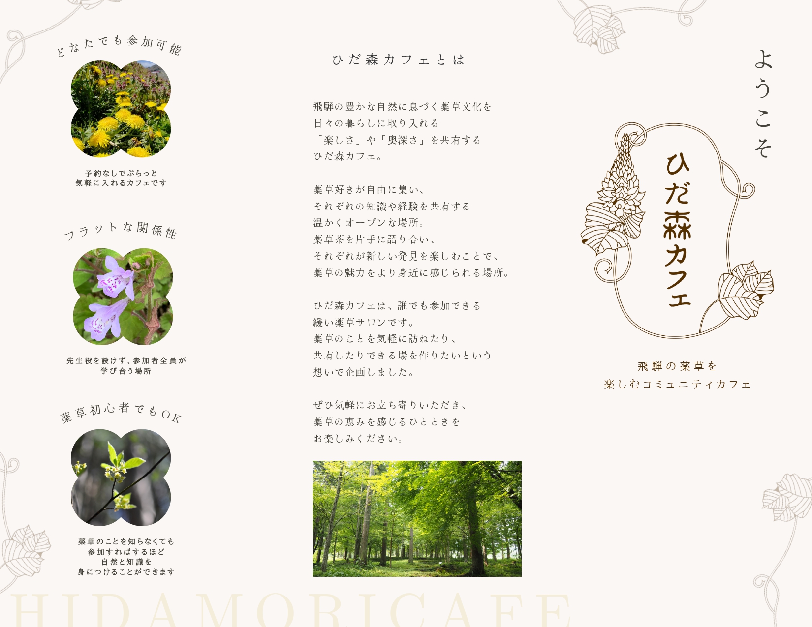 ひだ森カフェチラシ