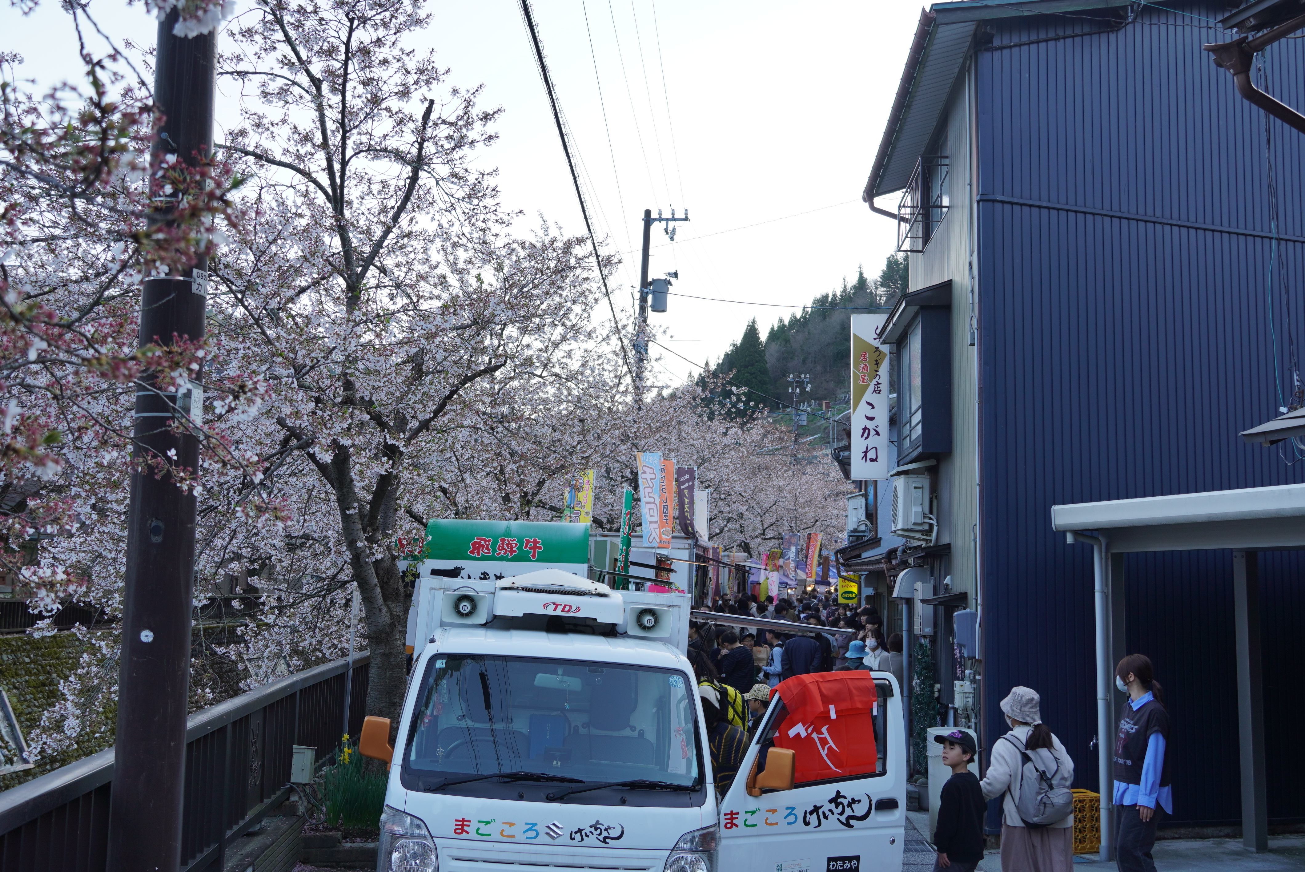 桜が満開のなか第12回飛騨神岡夜桜夜市が催されました