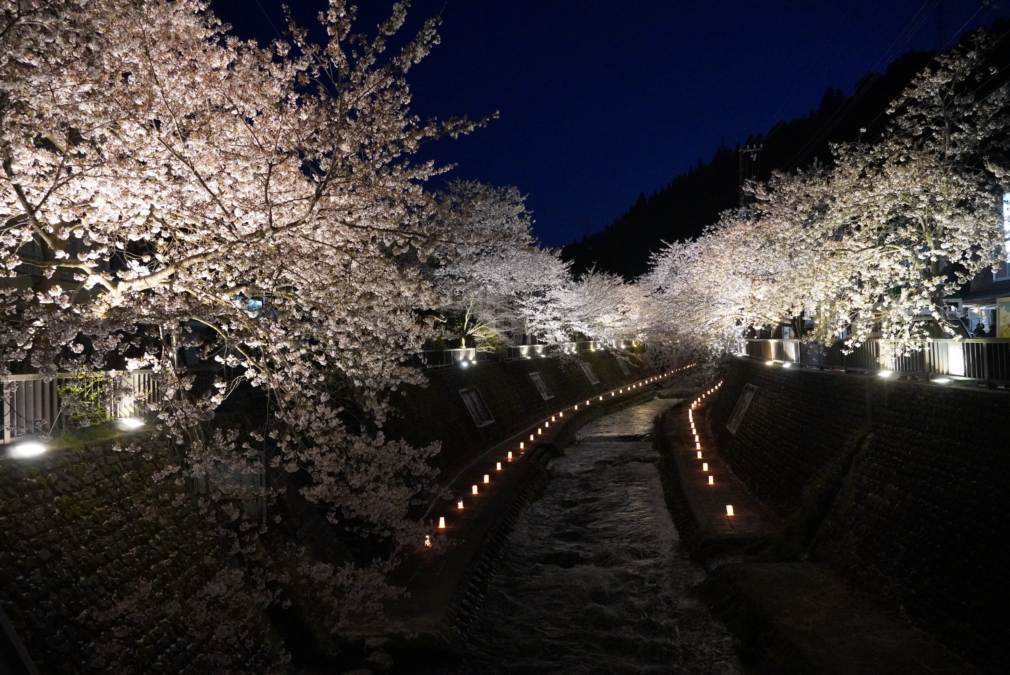 桜が満開のなか第12回飛騨神岡夜桜夜市が催されました