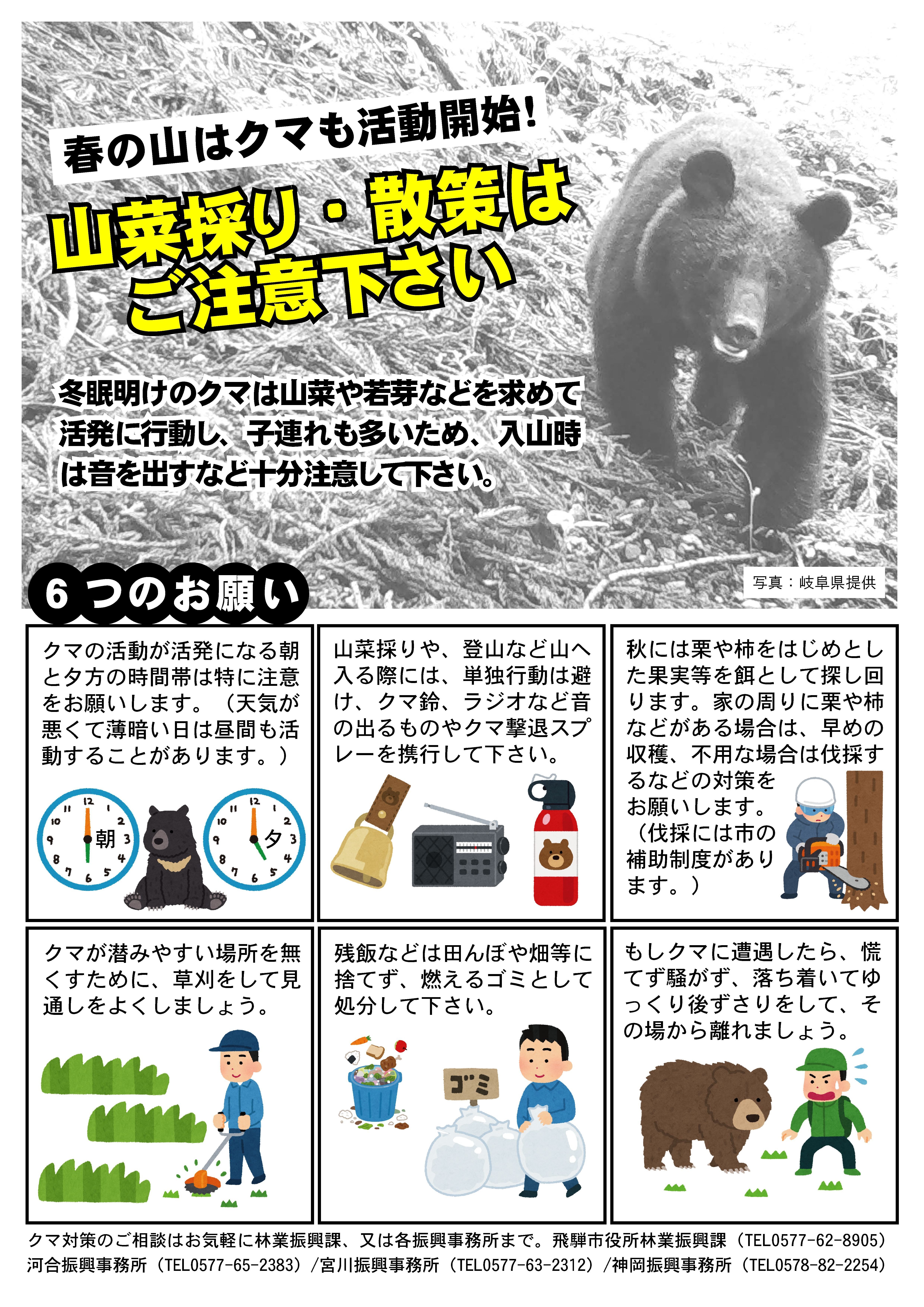 クマ