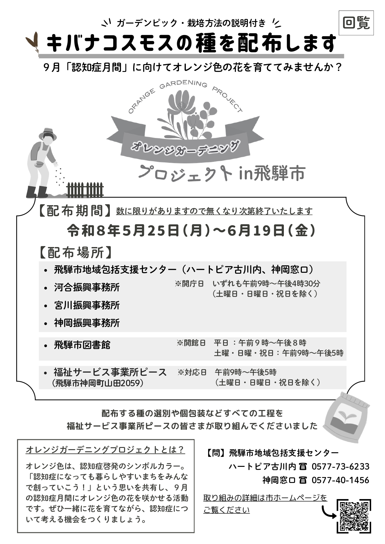 06_キバナコスモスの種を配布します