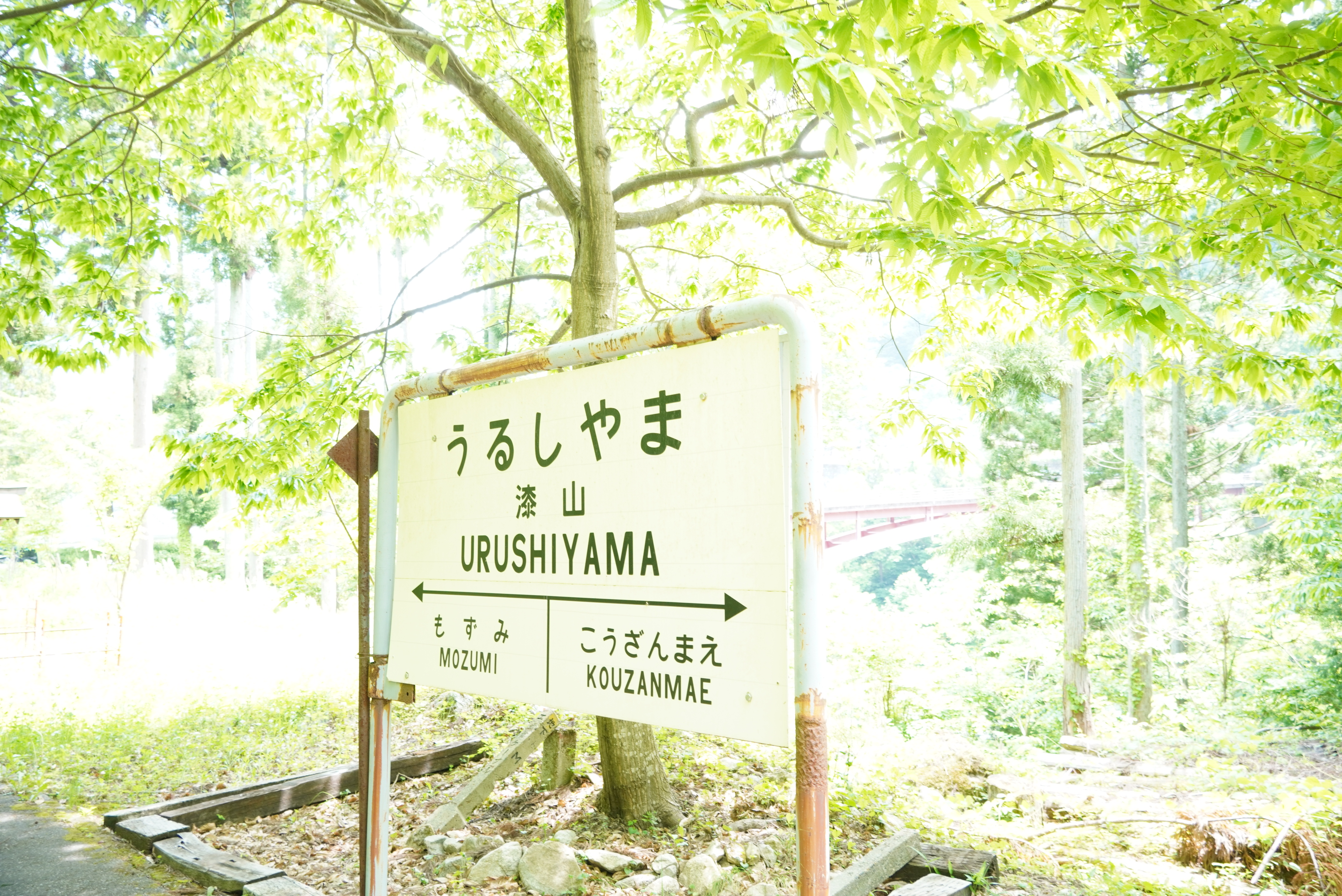 探Q学習の開始を前に神岡中学校1年生がレールマウンテンバイク ガッタンゴーを体験し学びを深めました