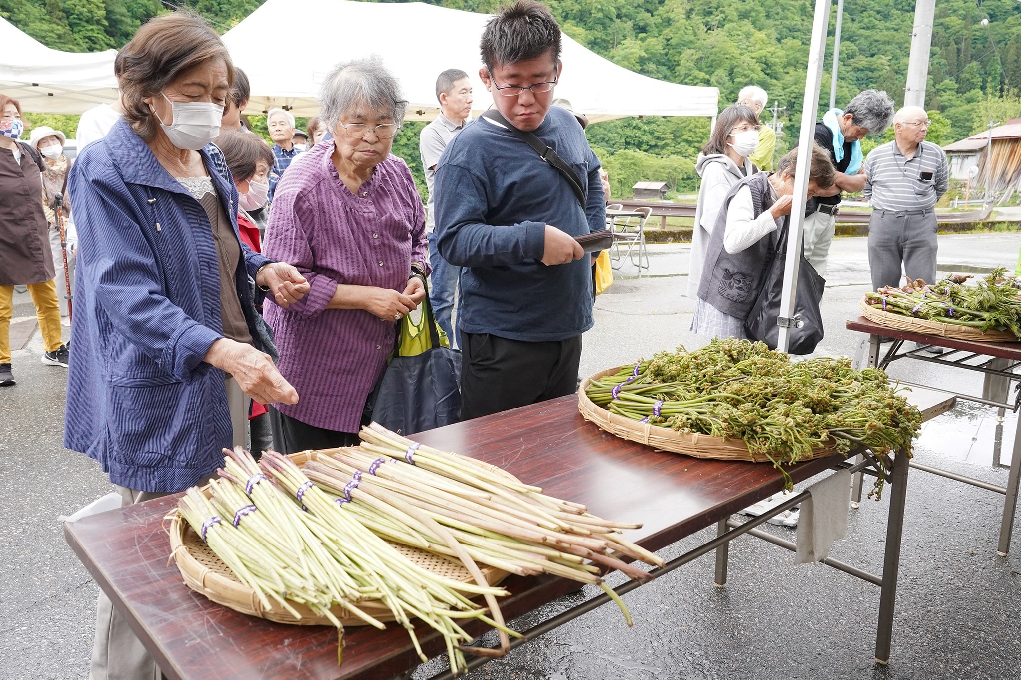 河合町で恒例の「飛騨かわい山菜市」を開催