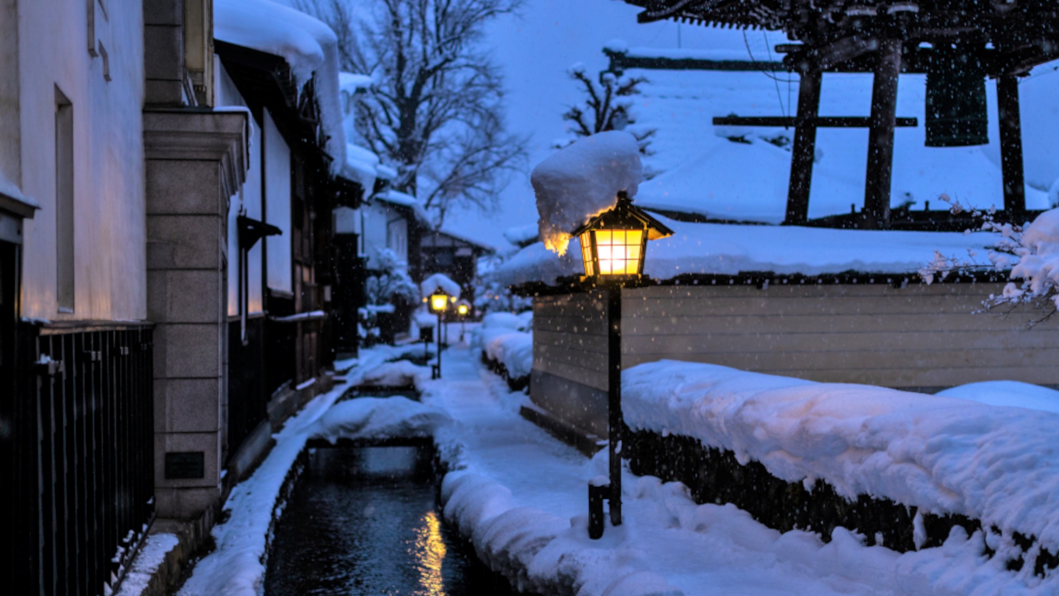 冬の夜の瀬戸川